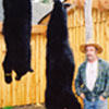 Hunting: Black Bear