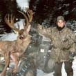 Hunting: Deer