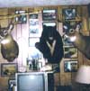 White Tailed Deer and Black Bear Trophies