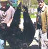 Hunting: Black Bear