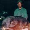 Hunting: Black Bear