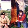 Hunting: Cinnamon Bear