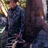 Hunting: White Tailed Deer