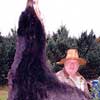 Hunting: Black Bear