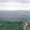 Oak Mountain