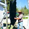 Hunting: Black Bear