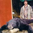 Hunting: Black Bear