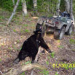 Hunting: Black Bear