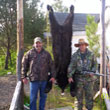 Hunting: Black Bear