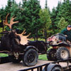 Hunting: Black Bear