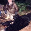 Hunting: Black Bear